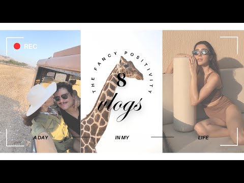 Luxury Staycation at Sir Bani Yas Island: Unexpected Upgrade, Private Safari, and Hidden UAE Gem!
