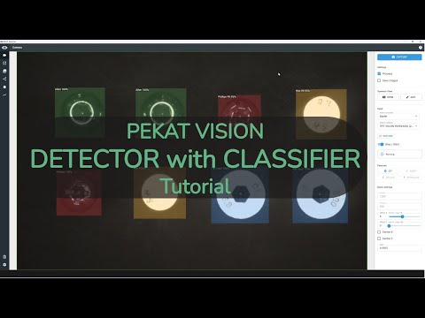 Detector with Classifier Module Tutorial