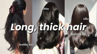 This Simple Hair Routine Fixed my 80% hair PROBLEMS