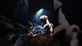 #animals #dog #videocreationai