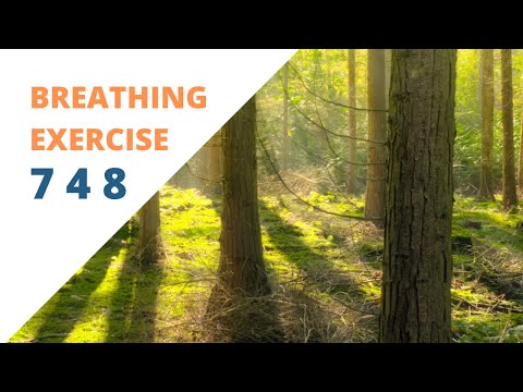 Breathing Exercice 7 4 8