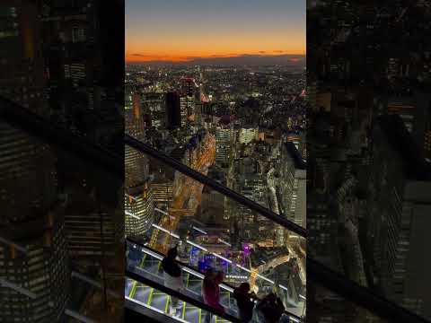 The views from Shibuya Sky in Tokyo are just breathtaking ❤️
