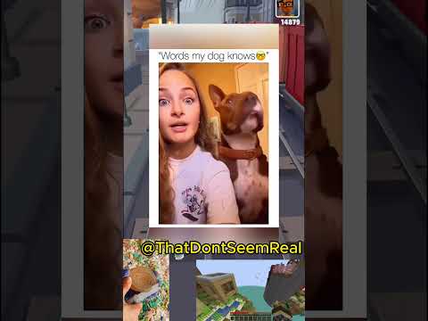 Funny dogs😂😂#shorts #funny