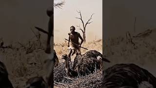 "Prehistoric Man’s Bold Hunt: The Great Ostrich Chase!"|#shortfeed #viral #movie 👍