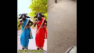 #comedy #dance #animals #viralvideo #funny #bhesh #jimcorbettwildlifeandnatureview