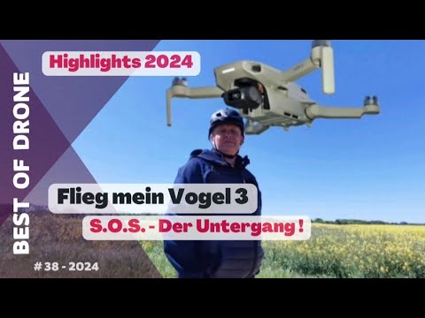 Flieg mein Vogel 3 🚀 - Der Untergang | Vlog 38 | Highlights 2024 | Djimini | Drone | Footage