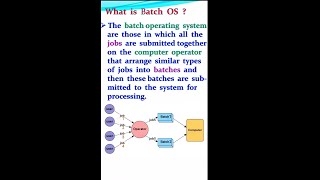 what is batch OS #shorts #youtubeshorts #ytshorts #ruchikeshri #coding #viral