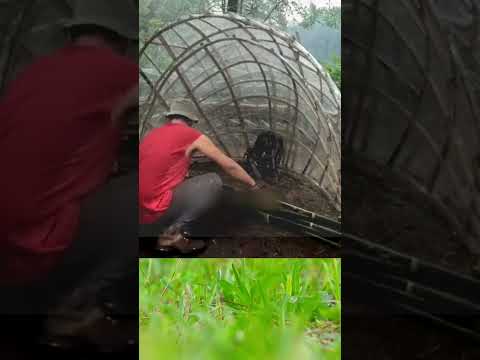 BUILD A UNIQUE SHELTER Part 3 #camping #cooking #bushcraft