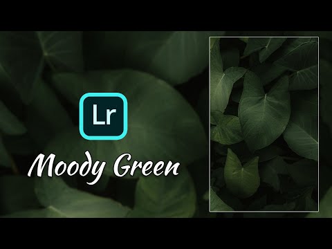 How To Edit MOODY GREEN | Lightroom Mobile Tutorial 2021