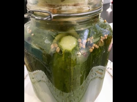 ForSomethingMore - Kosher Dill Pickle Recipe