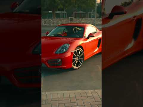 Why the SONY FX2? 🎥 | ليش اخترت سوني