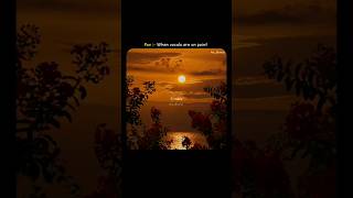 Do you feel something magical? ✨💕|| Sitaare -Arijit Singh (from "Ikkis")  #shorts #love #song #music