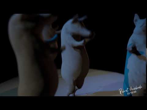 African Swine Fever Awareness TEASER - Funny Pig Dancing animation