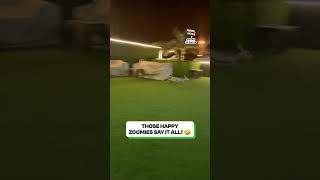 Ultimate deer zoomies 😂😂