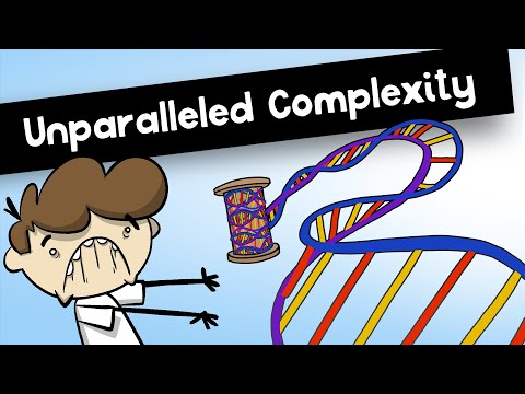 The Mind-Bending Secrets of DNA: The Ultimate Code