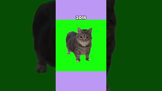 Legendary Cat Memes (Then vs Now) 💔🕊️ #shorts