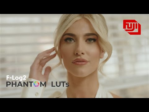 The BEST F-Log2 LUTs for the Fujifilm XH2S | ARRI Colors for Fuji