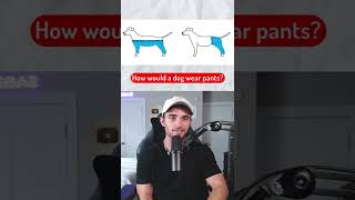 Questions that split the internet