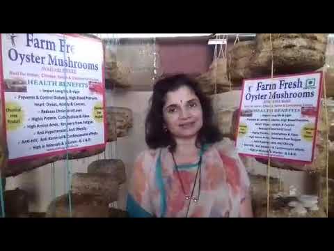 MahaGro India: Royal Family doing Mushroom Production for the Benefit of the Society.