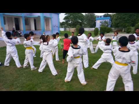 Taekwondo Training 02