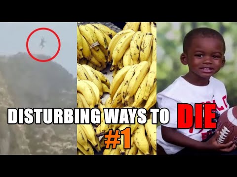 Fatal Jumps, Poisoned Bananas & Septic Tanks │Disturbing Ways To Die #1
