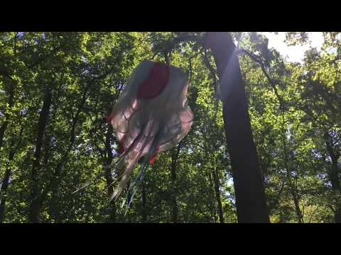Jellyfish Tree