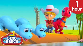 The Little Ones Need Water! | Dino Ranch