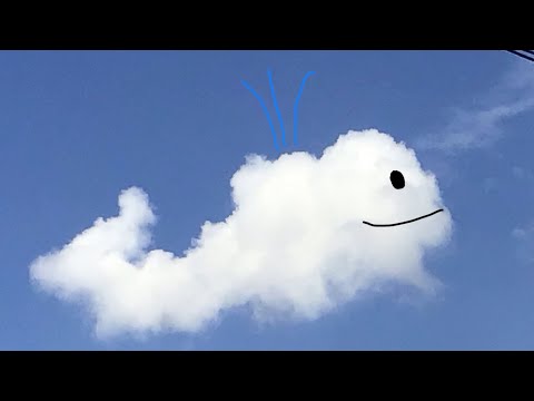 FIRST VIDEO OMG-