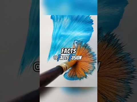 Random Facts You Didn’t Know 2