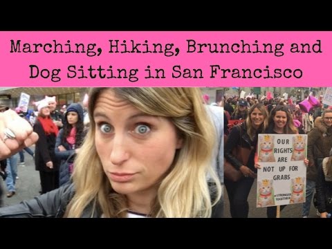 San Francisco Hiking, Brunching, Dog Sitting and Marching