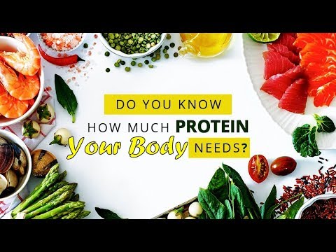 Do You Need Really More Protein Than You Think | How Much Protein a Day