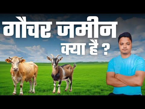 गौचर भूमि क्या है | जमीन के सभी प्रकार | गौचर जमीन का उपयोग | गौचर जमीन पर अतिक्रमण | Amin Maker 