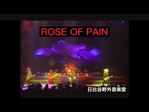 1989 XJAPAN  (X)   ROSE OF PAIN PV＋客録