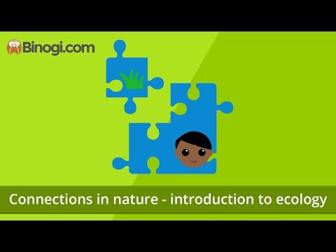 Connections in nature - introduction to ecology (Biology)