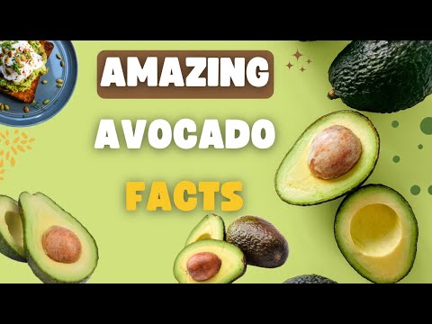 **"10 Amazing Avocado Facts That Will Change Your Breakfast Game Forever!"**" Quiz Zap