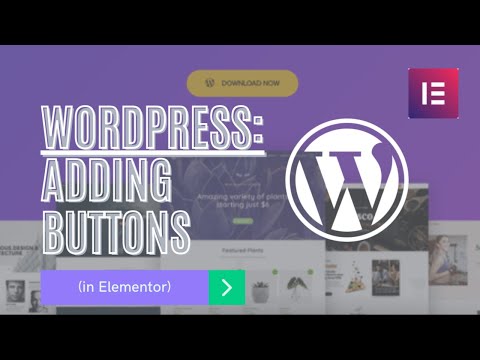 Creating Buttons with Wordpress (in Elementor) & Closing Thoughts (Wordpress 101)