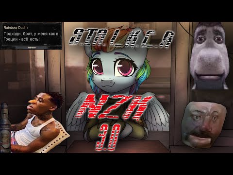 Stalker Anomaly NZK 3.0