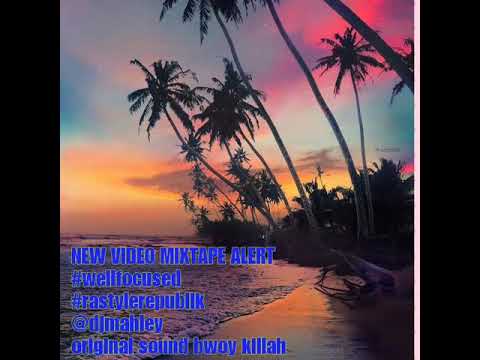 DJ mahley reggae intro mix