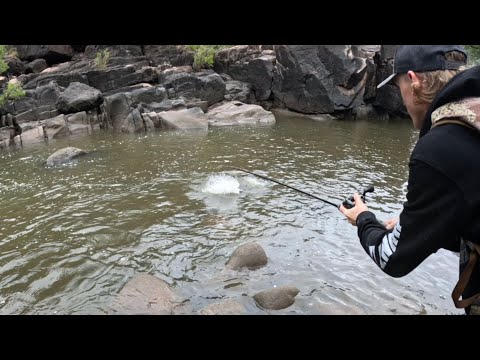 Insane cod trip into gorge country. ( Murray cod fishing )