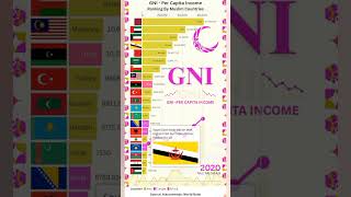 Top Muslim Countries by GNI Per Capita 💰🌍 | Ranking #shorts