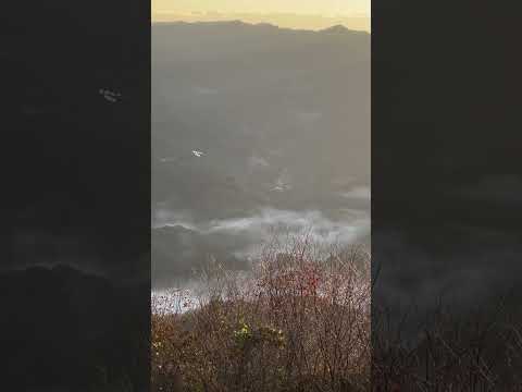 Sun rising with sea of clouds at Minoyama of Chichibu. #美の山 #秩父 #雲海 #埼玉