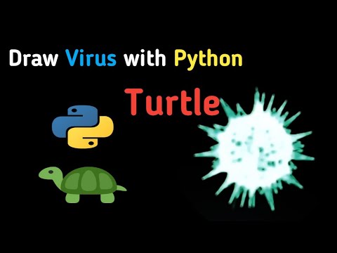 Simple Project with Python Turtle 🐢 | DKN4.Hackers