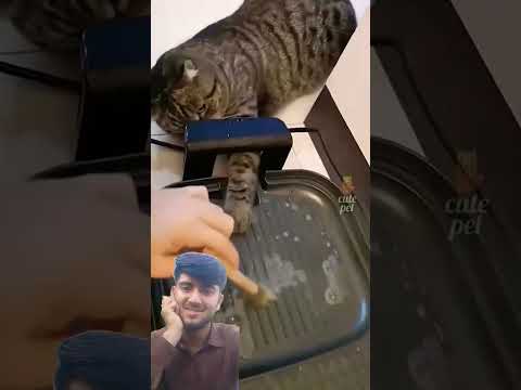 Most trending funny short #trending #subscribe #viralshort #unfrez #fypシ゚viral