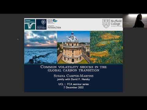 Common volatility shocks in the global carbon transition - Susan Campos-Martins