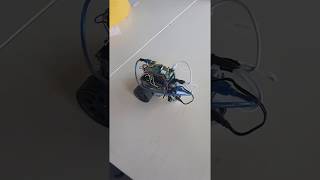 A Real-World Implementation of Active Inference - Physical Model Robustness Test