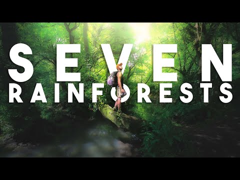These Ancient English Rainforests were LOST... Until Now: Part 1