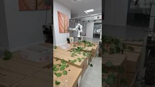 How Does This Robot Learn?