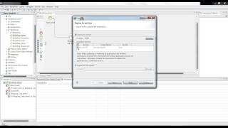 Developer Workflow in Data Quality 9.5.0