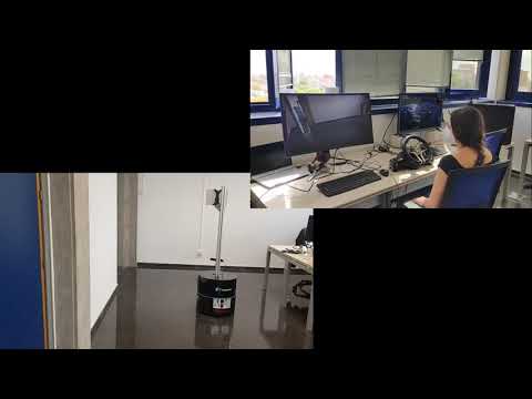 Autonomous robot and remote driving