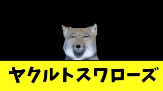 ヤクルトスワローズ